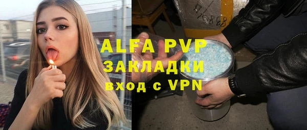 прущие грибы Алзамай