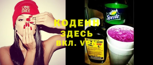 шишки Алексин