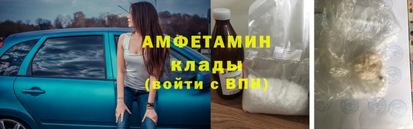 шишки Алексин