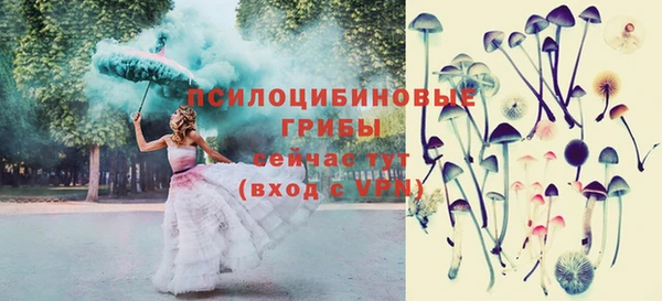 прущие грибы Алзамай