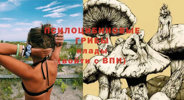 шишки Алексин