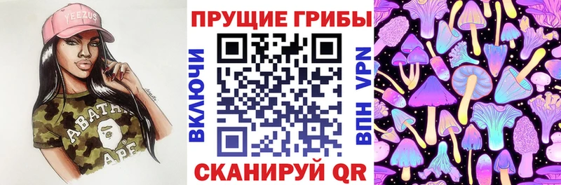 Псилоцибиновые грибы GOLDEN TEACHER  Бавлы 