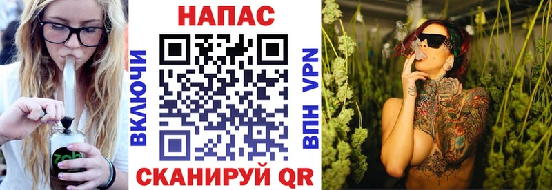Шишки марихуана сатива Бавлы